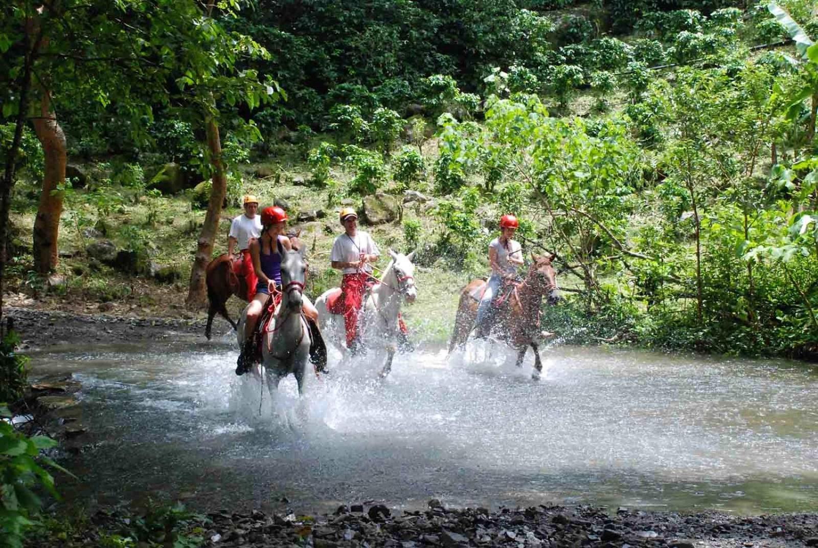 Adventure Park & Vista Golfo 3*